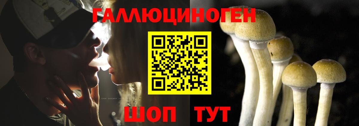 Псилоцибиновые грибы мухоморы Отрадный